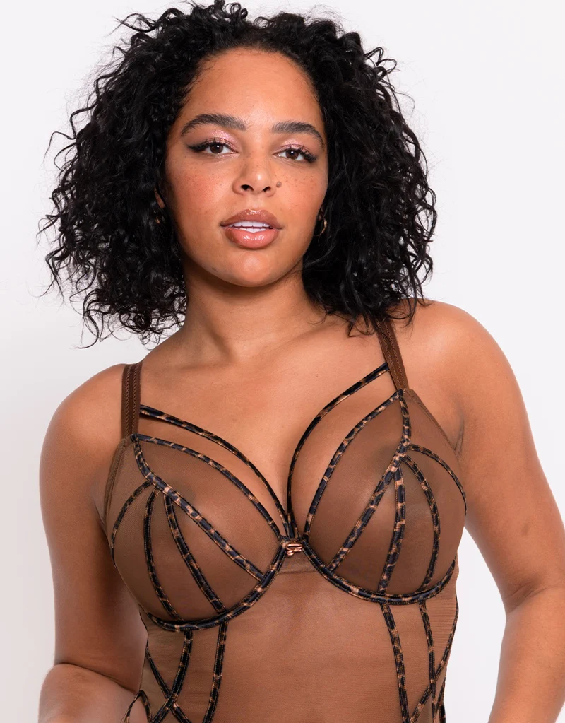 Scantilly Senses Plunge Bodysuit Leopard Brown