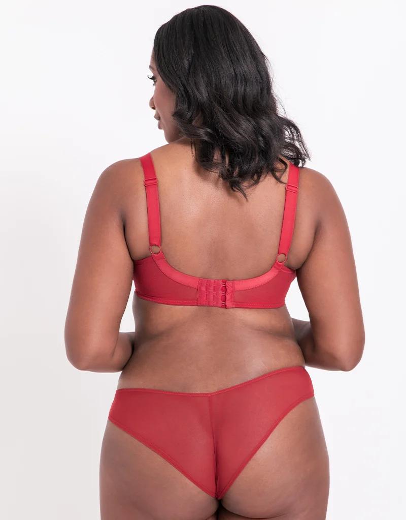 Curvy Kate Love Me Lace Plunge Bra Claret
