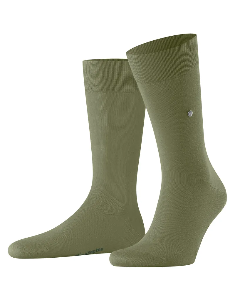 Burlington Lord Herren