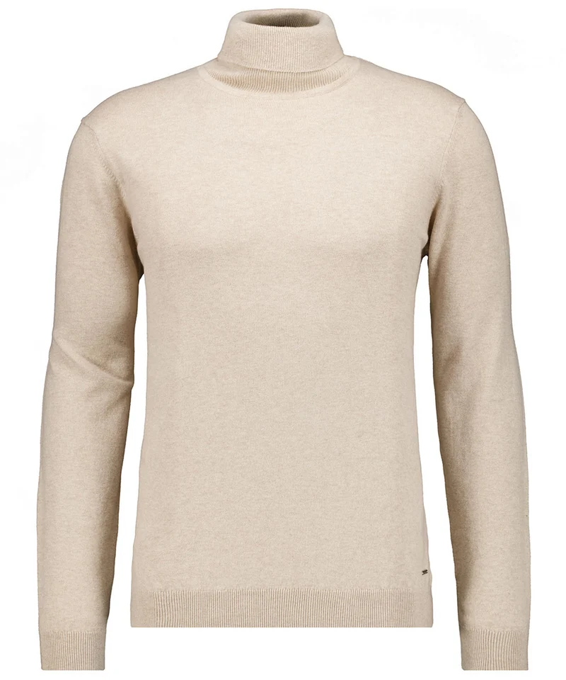 Pullover mit Rollkragen