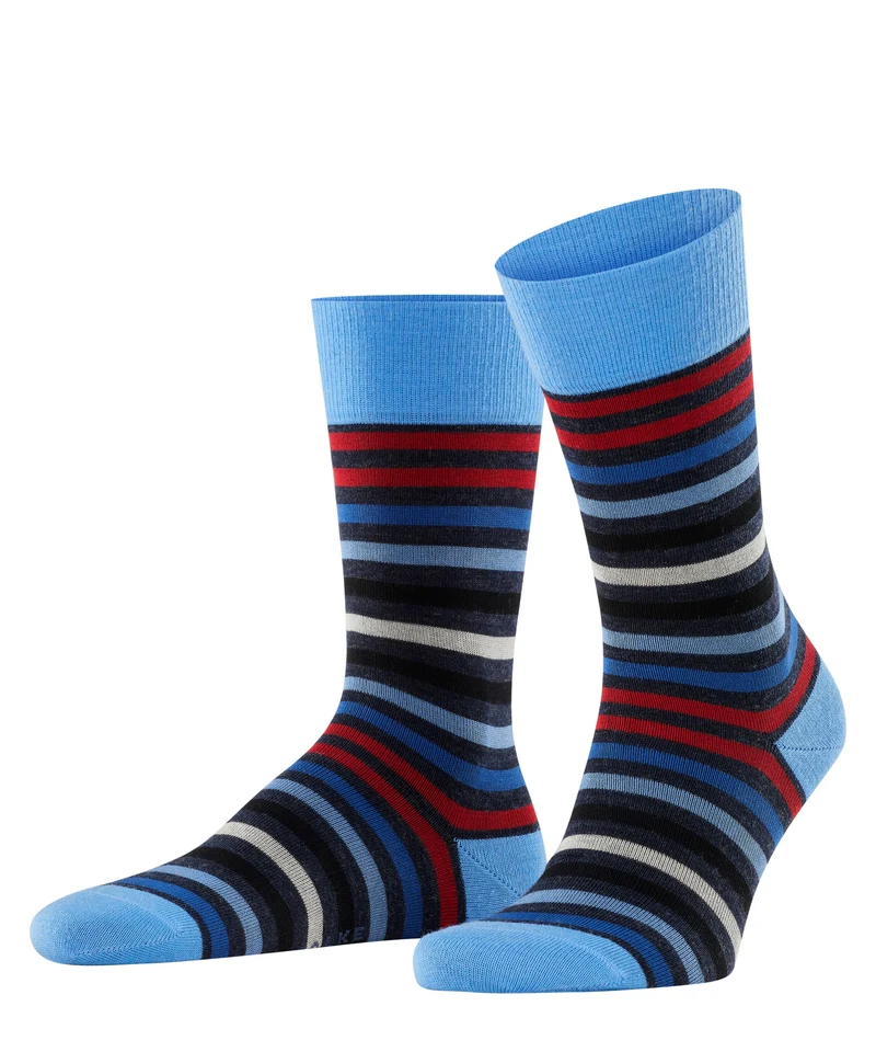 FALKE Tinted Stripe Herren