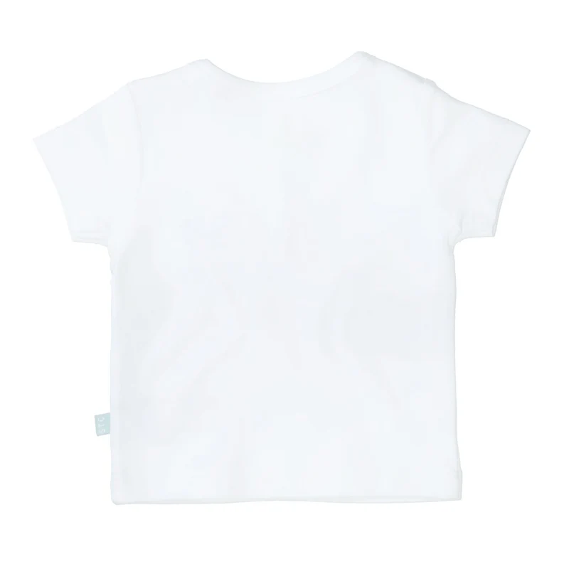 T-Shirt aus Bio-Baumwolle