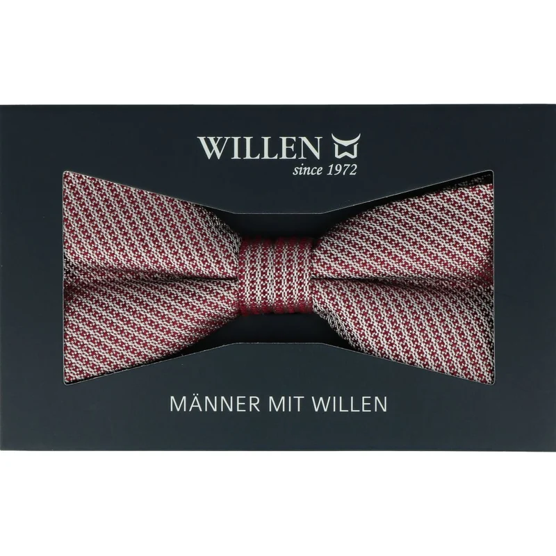 Willen Schleife
