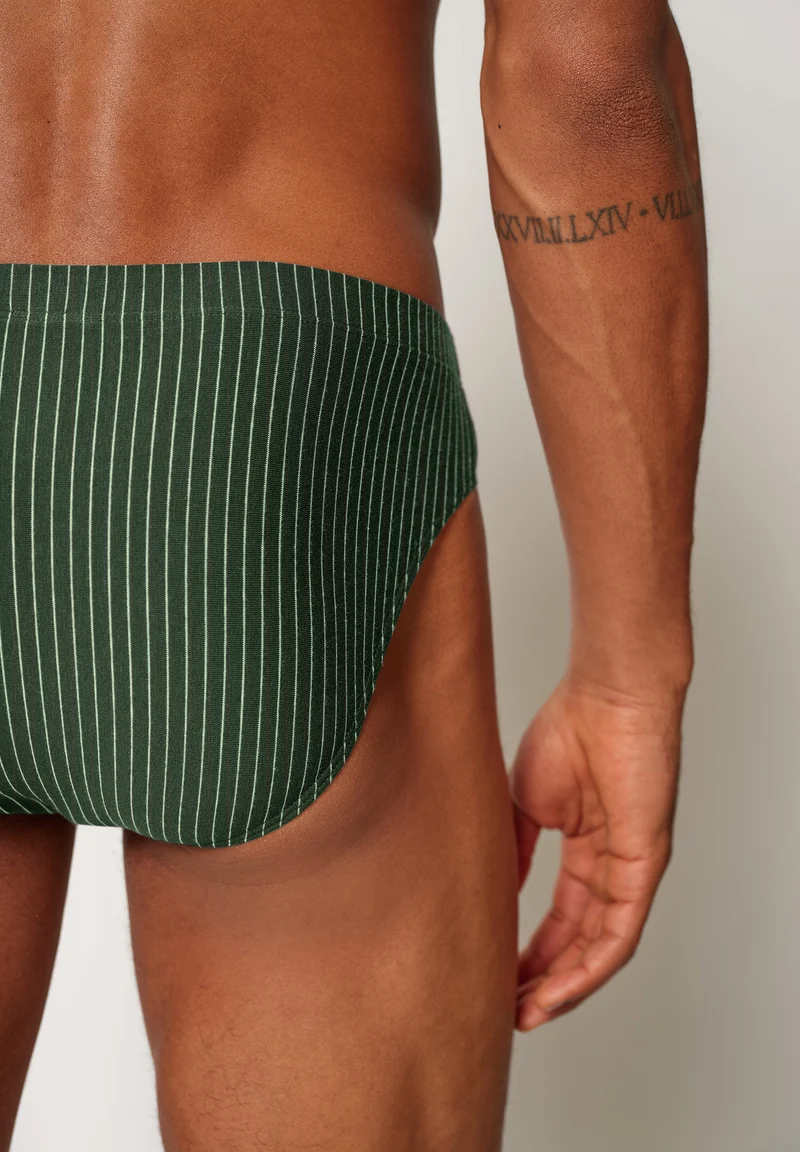 Cotton Multipack Briefs 2 pack | olive stripes 087607-08S726