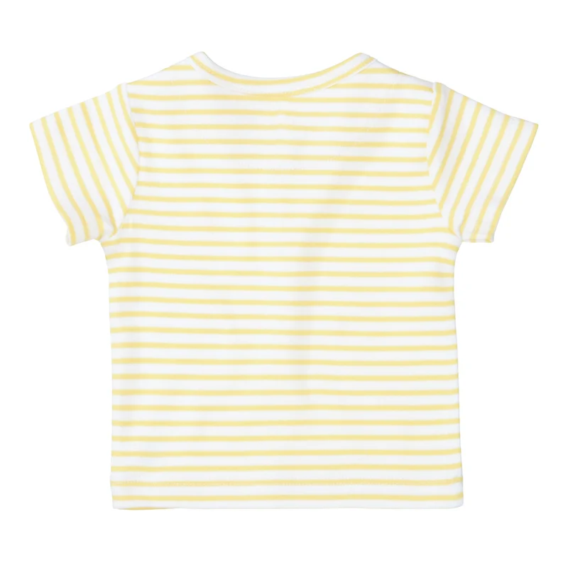 T-Shirt aus Bio Baumwolle